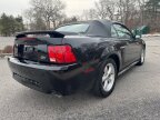 Thumbnail Photo 3 for 2003 Ford Mustang