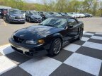 Thumbnail Photo 5 for 2003 Ford Mustang