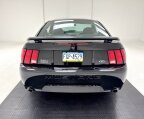 Thumbnail Photo 3 for 2003 Ford Mustang