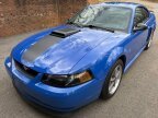 Thumbnail Photo 1 for 2003 Ford Mustang