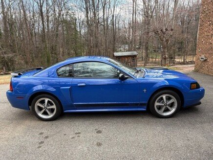 Photo 1 for 2003 Ford Mustang