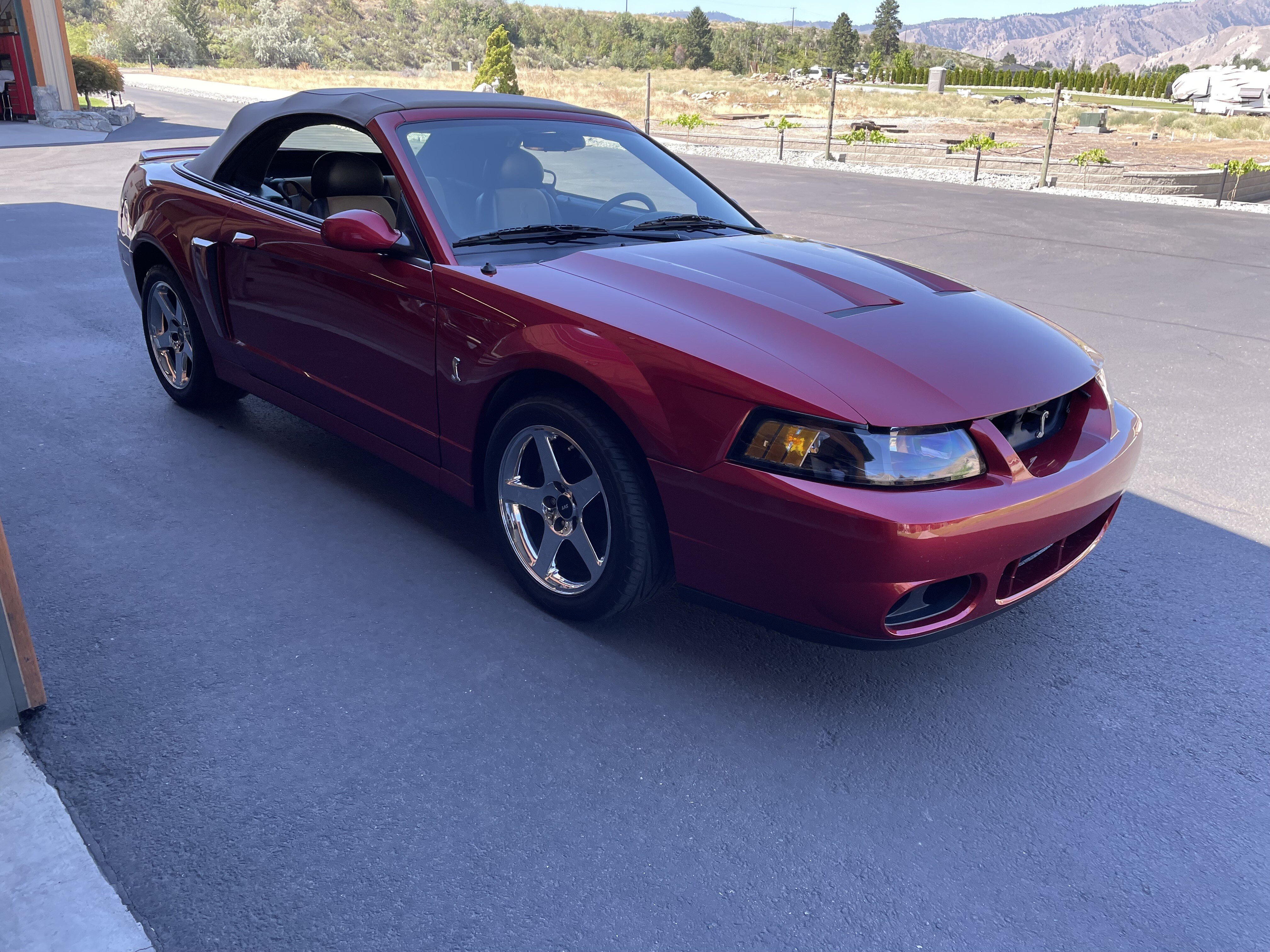 2003 Ford Mustang Cobra Convertible
