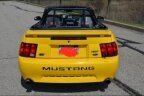 Thumbnail Photo 2 for 2004 Ford Mustang Convertible