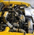 Thumbnail Photo 5 for 2004 Ford Mustang Convertible