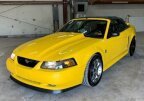 Thumbnail Photo 1 for 2004 Ford Mustang Convertible