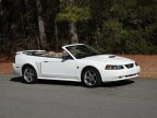 Thumbnail Photo 2 for 2004 Ford Mustang