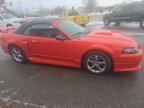 Thumbnail Photo 3 for 2004 Ford Mustang