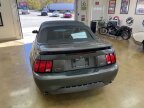 Thumbnail Photo 1 for 2004 Ford Mustang