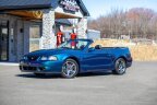 Thumbnail Photo 4 for 2004 Ford Mustang
