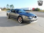 Thumbnail Photo 6 for 2004 Ford Mustang