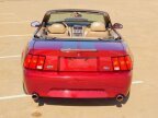 Thumbnail Photo 5 for 2004 Ford Mustang GT