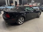 Thumbnail Photo 1 for 2004 Ford Mustang