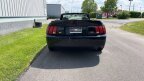 Thumbnail Photo 4 for 2004 Ford Mustang