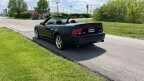 Thumbnail Photo 5 for 2004 Ford Mustang