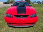 Thumbnail Photo 2 for 2004 Ford Mustang