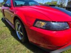 Thumbnail Photo 4 for 2004 Ford Mustang