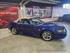 Thumbnail Photo 6 for 2004 Ford Mustang