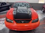 Thumbnail Photo 6 for 2004 Ford Mustang