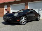 Thumbnail Photo 4 for 2004 Ford Thunderbird
