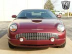 Thumbnail Photo 6 for 2004 Ford Thunderbird