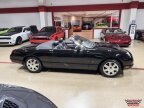 Thumbnail Photo 5 for 2004 Ford Thunderbird