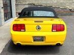Thumbnail Photo 5 for 2005 Ford Mustang