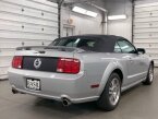Thumbnail Photo 6 for 2005 Ford Mustang