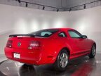 Thumbnail Photo 5 for 2005 Ford Mustang Coupe