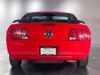 Thumbnail Photo 6 for 2005 Ford Mustang Coupe