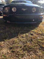 Thumbnail Photo 2 for 2005 Ford Mustang
