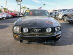 Thumbnail Photo 1 for 2005 Ford Mustang
