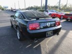 Thumbnail Photo 6 for 2005 Ford Mustang