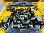 Thumbnail Photo 1 for 2005 Ford Mustang