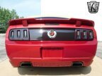 Thumbnail Photo 6 for 2005 Ford Mustang