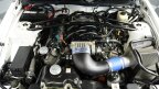 Thumbnail Photo 2 for 2005 Ford Mustang