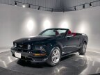 Thumbnail Photo 1 for 2005 Ford Mustang GT Convertible