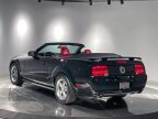 Thumbnail Photo 6 for 2005 Ford Mustang GT Convertible