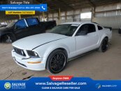 New 2005 Ford Mustang Coupe