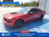 New 2005 Ford Mustang GT Coupe