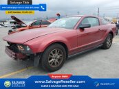 2005 Ford Mustang Coupe