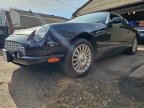 Thumbnail Photo 5 for 2005 Ford Thunderbird