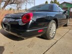 Thumbnail Photo 6 for 2005 Ford Thunderbird