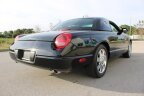 Thumbnail Photo 6 for 2005 Ford Thunderbird 50th Anniversary