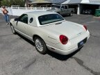 Thumbnail Photo 4 for 2005 Ford Thunderbird 50th Anniversary