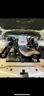 Thumbnail Photo 6 for 2006 Ford Mustang GT Coupe for Sale by Owner