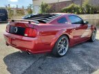 Thumbnail Photo 6 for 2006 Ford Mustang