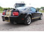 Thumbnail Photo 5 for 2006 Ford Mustang GT Coupe