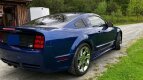 Thumbnail Photo 4 for 2006 Ford Mustang Saleen