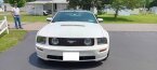 Thumbnail Photo 1 for 2006 Ford Mustang