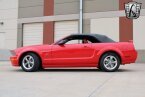 Thumbnail Photo 3 for 2006 Ford Mustang GT